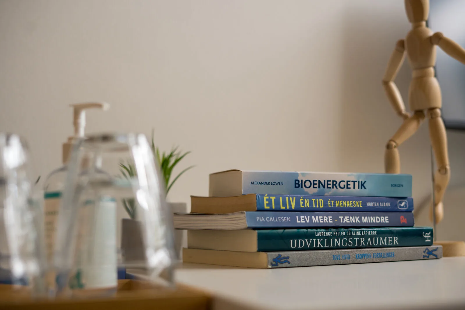 Online forløb<br />
Bootcamp<br />
Coaching